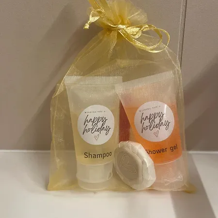 Renovated-spacious Up To 6 People In Flims