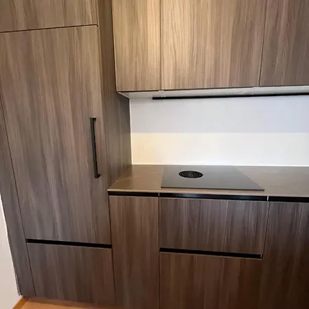 Apartment Renovated-spacious Up To 6 People In Flims