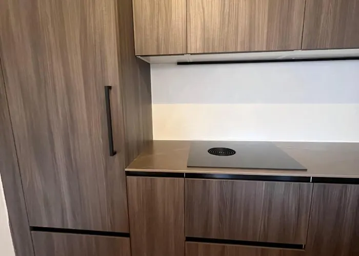 Apartman Renovated-spacious Up To 6 People In Flims