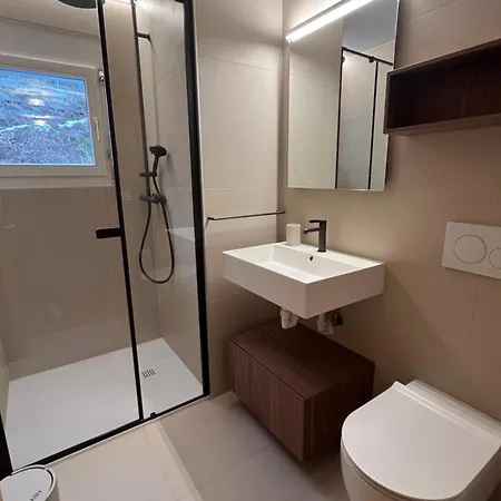 Appartement Renovated-spacious Up To 6 People In Flims