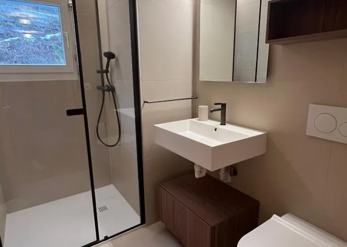 Appartement Renovated-spacious Up To 6 People In Flims